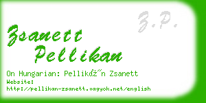 zsanett pellikan business card